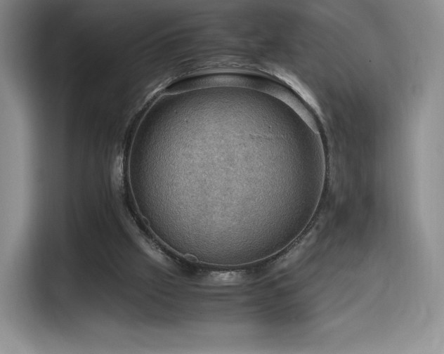 X0000116120057200911231223