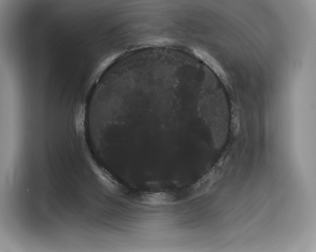 X0000116120058200911231223