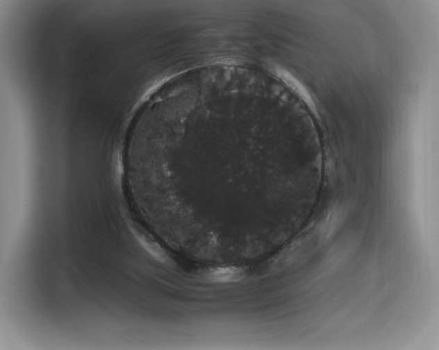 X0000116120059200911231223