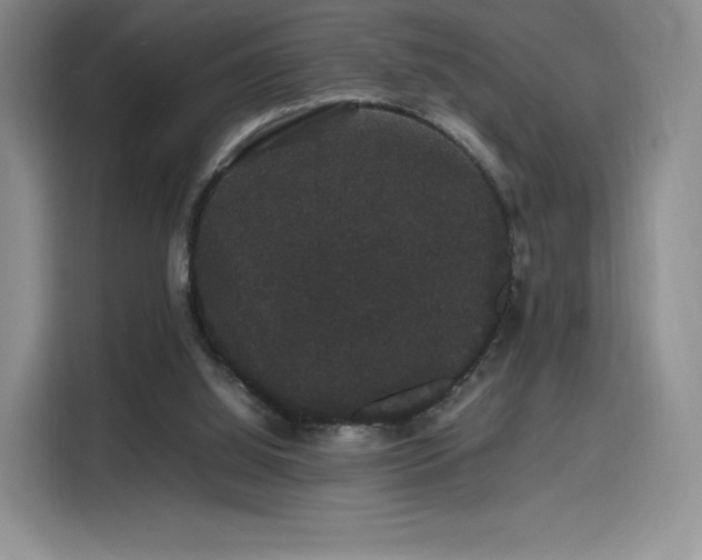 X0000116120060200911231223