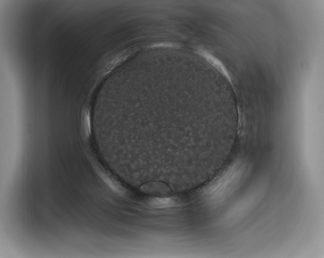 X0000116120061200911231223