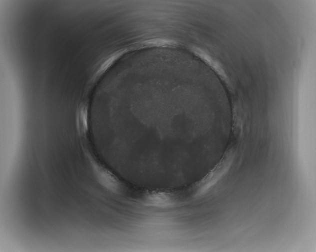 X0000116120062200911231223