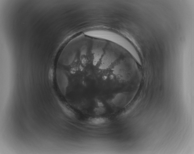 X0000116120063200911231223