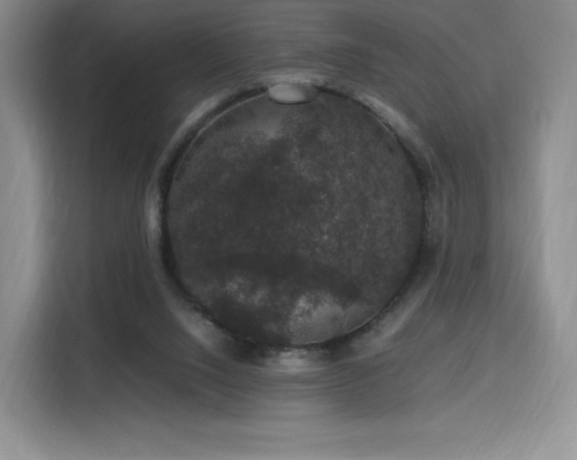 X0000116120064200911231223