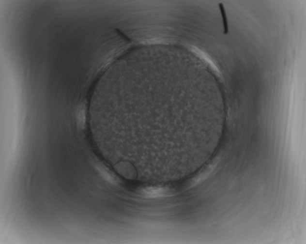 X0000116120065200911231223