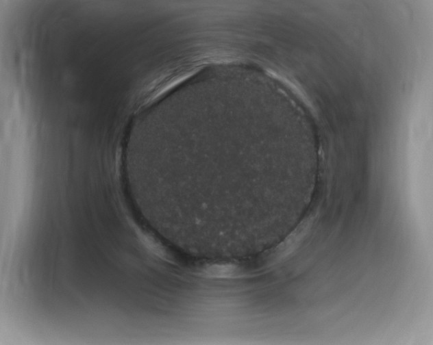 X0000116120066200911231223