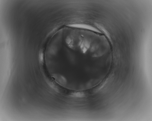 X0000116120067200911231223