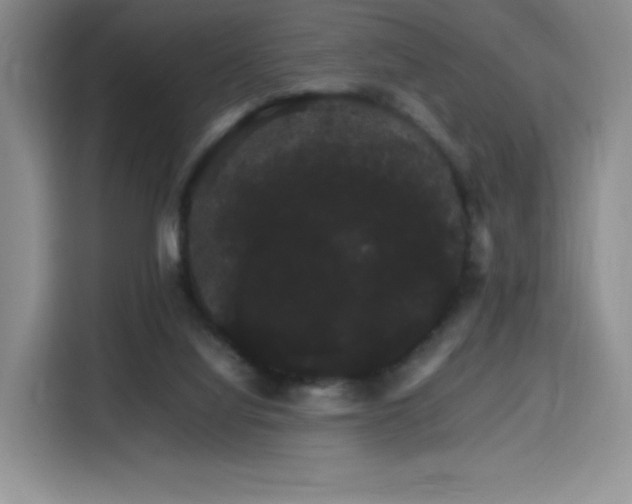 X0000116120068200911231223