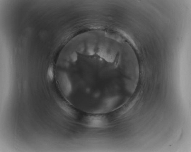 X0000116120069200911231223