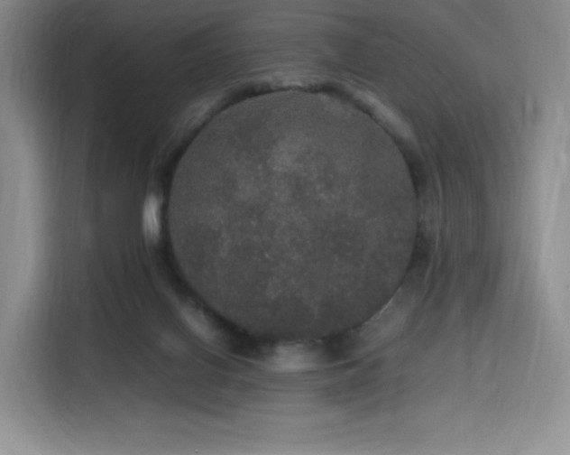 X0000116120070200911231223