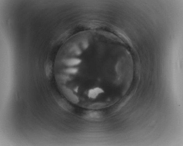 X0000116120073200911231223