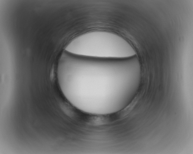 X0000116120074200911231223