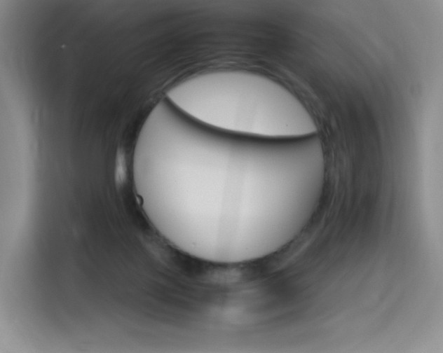 X0000116120075200911231223