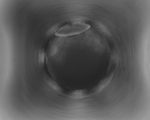 X0000116120076200911231223