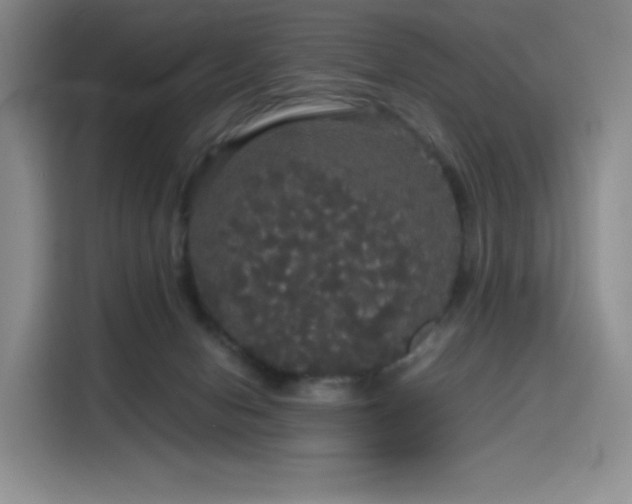 X0000116120078200911231223