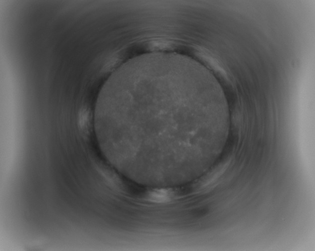 X0000116120079200911231223