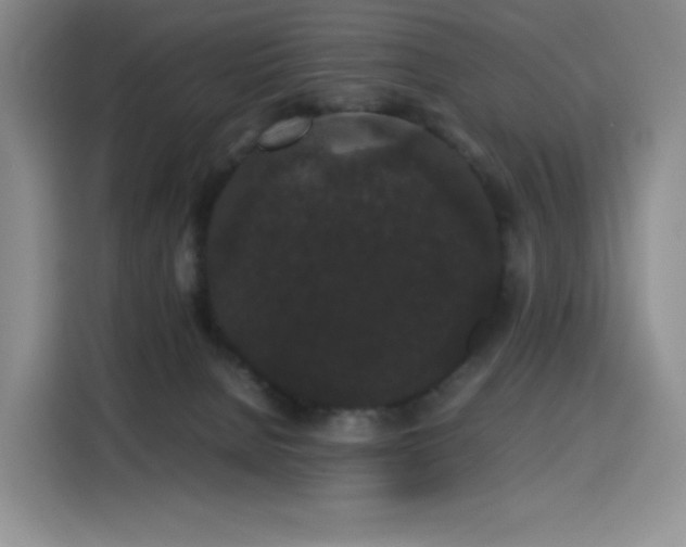 X0000116120080200911231223