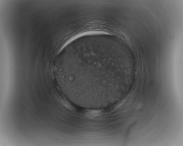 X0000116120081200911231224