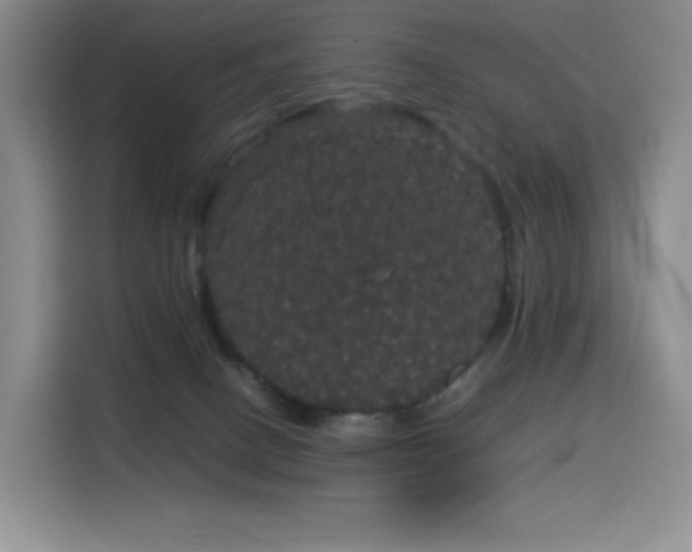 X0000116120082200911231224