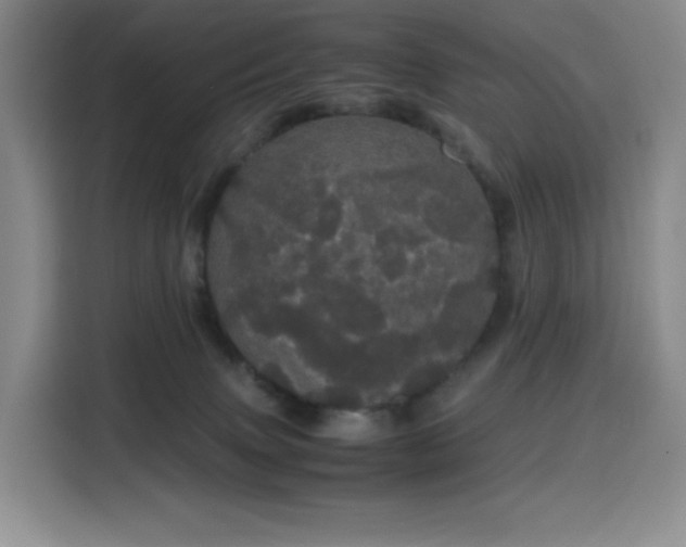 X0000116120083200911231224