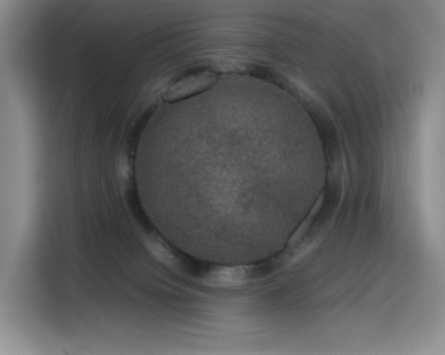 X0000116120084200911231224