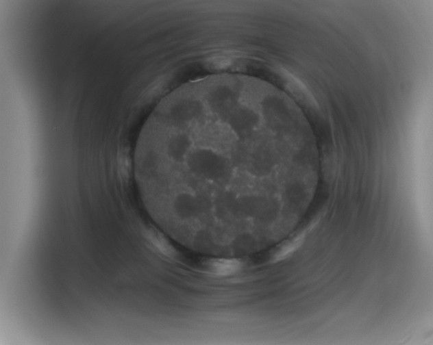 X0000116120085200911231224