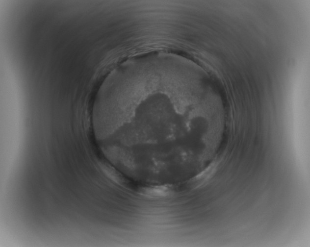 X0000116120086200911231224