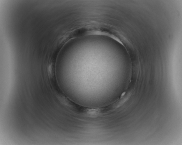 X0000116120088200911231224