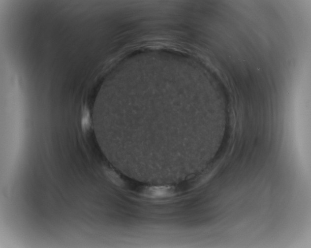 X0000116120089200911231224