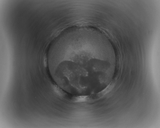 X0000116120090200911231224