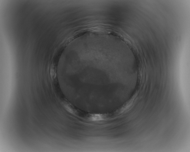 X0000116120091200911231224