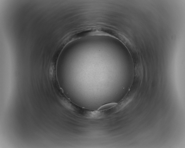 X0000116120092200911231224