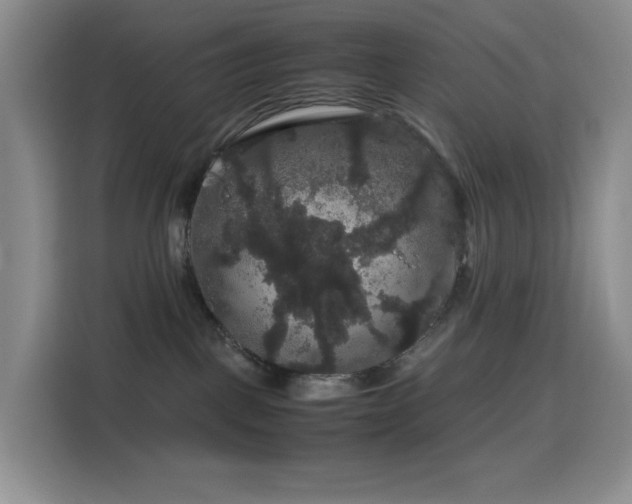 X0000116120093200911231224