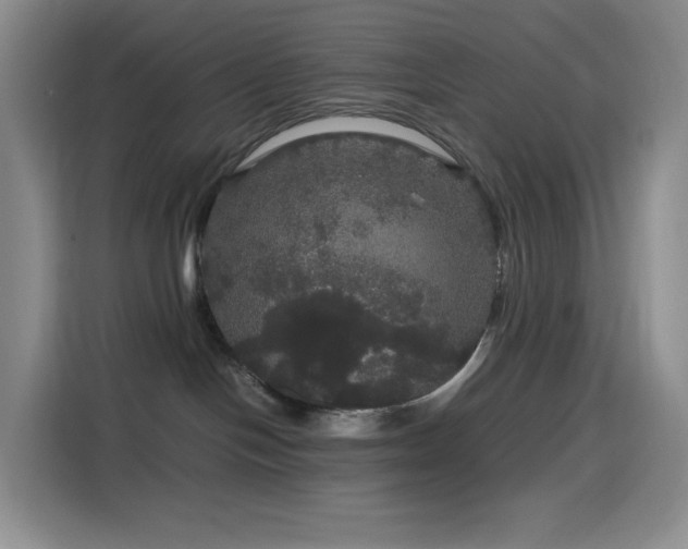 X0000116120094200911231224