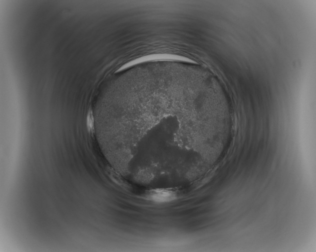 X0000116120095200911231224