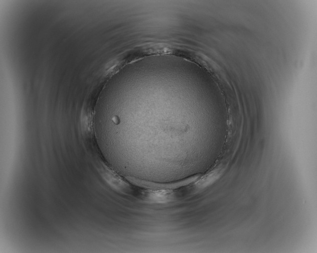 X0000116120096200911231224