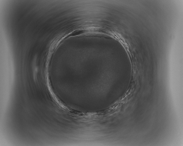 X0000116120097200911231223