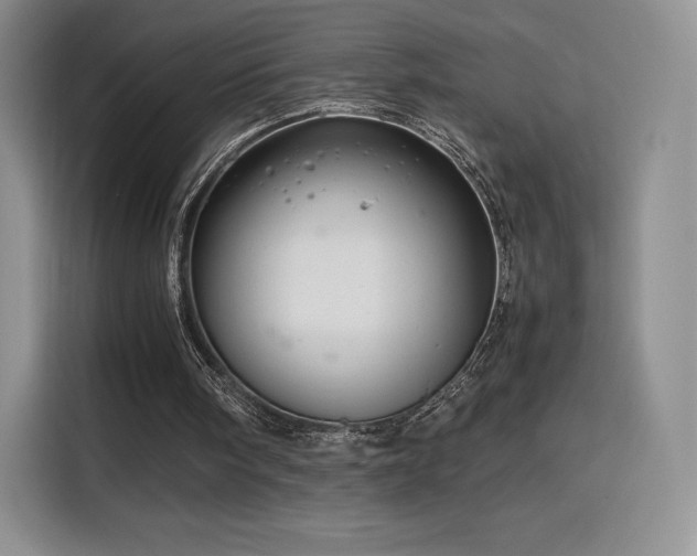 X0000116120098200911231223