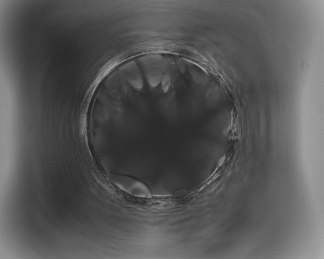 X0000116120099200911231223