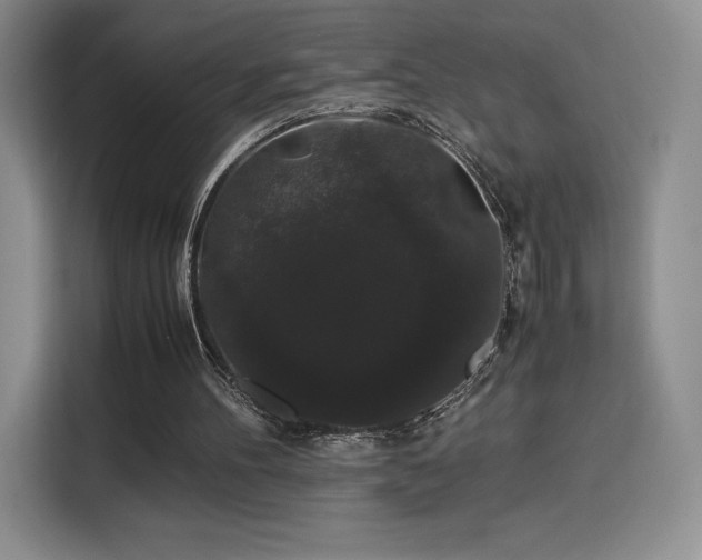 X0000116120100200911231223