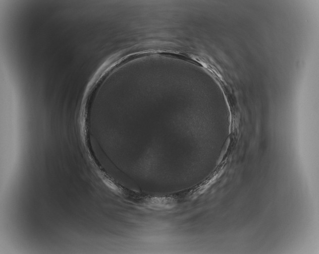 X0000116120101200911231223