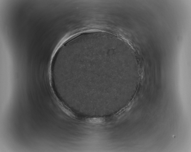 X0000116120102200911231223