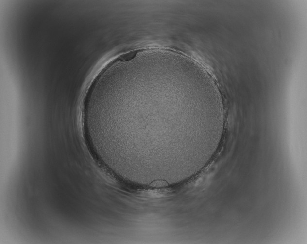 X0000116120103200911231223