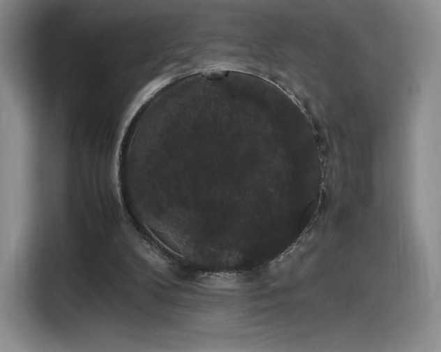 X0000116120104200911231223