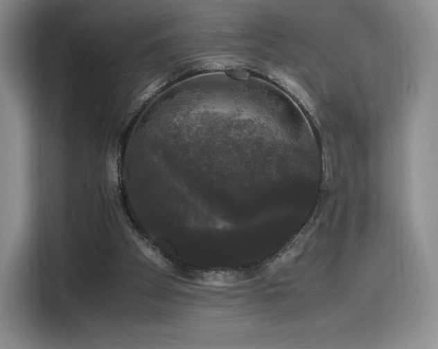 X0000116120105200911231223