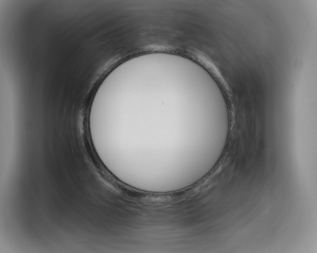 X0000116120106200911231223