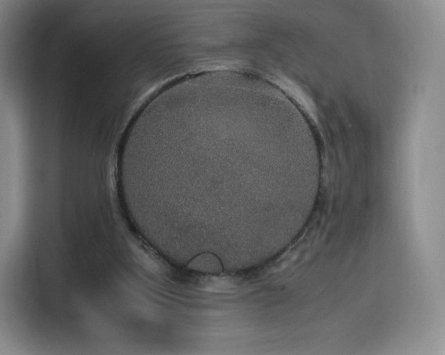 X0000116120107200911231223