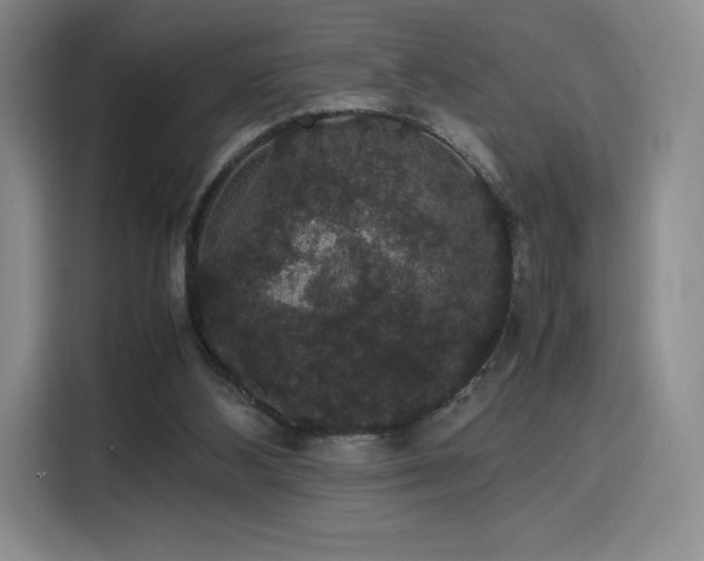 X0000116120108200911231223