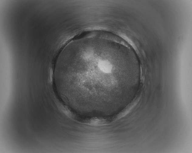 X0000116120109200911231223