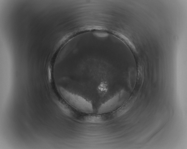 X0000116120110200911231223